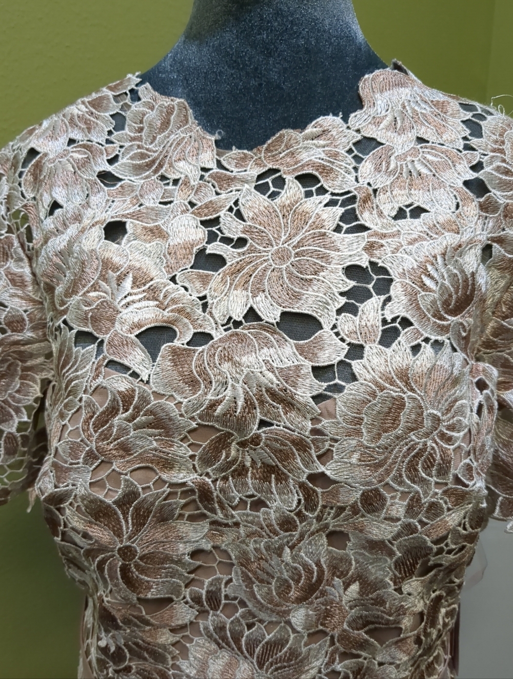 0406 BHLDN JS Collection Rayes Blush Floral Lace Short-Sleeve Formal   Dress - Picture 3 of 7